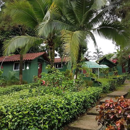 Los Pinos De Torio エクステリア 写真