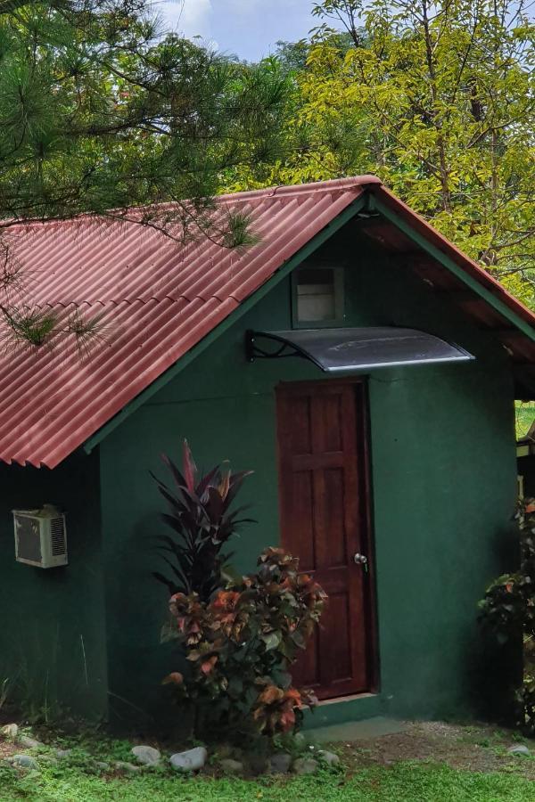 Los Pinos De Torio エクステリア 写真