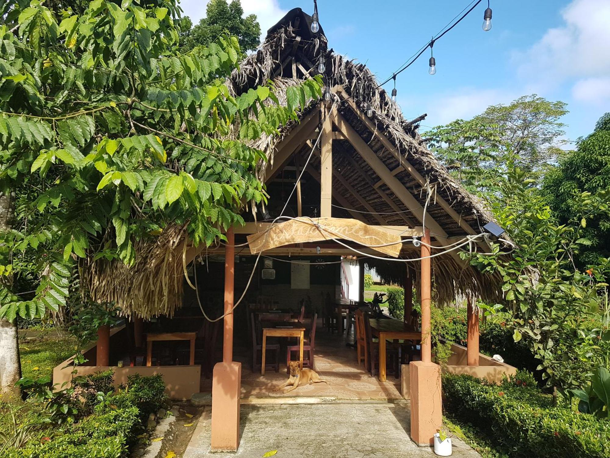 Los Pinos De Torio エクステリア 写真